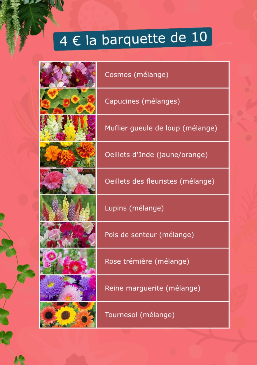 2026-04-22_flyer_vente_fleurs_dame_lisieux_2